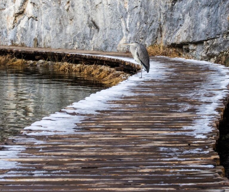 Plitvička su jezera predivna destinacija za zimska poslovna događanja Plitvička su jezera predivna destinacija za zimska poslovna događanja