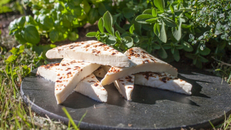 Škripavac cheese is one of the most famous cheeses in Lika