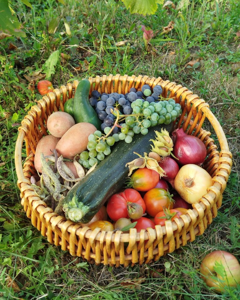 Taste organic fruit and vegetables at Plitvice
