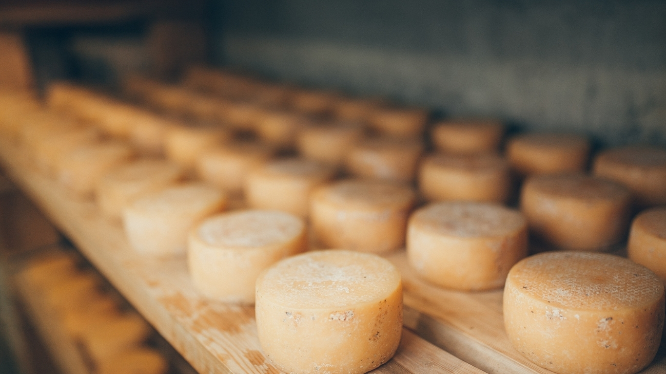 The Flavours of Lika cheese dairies