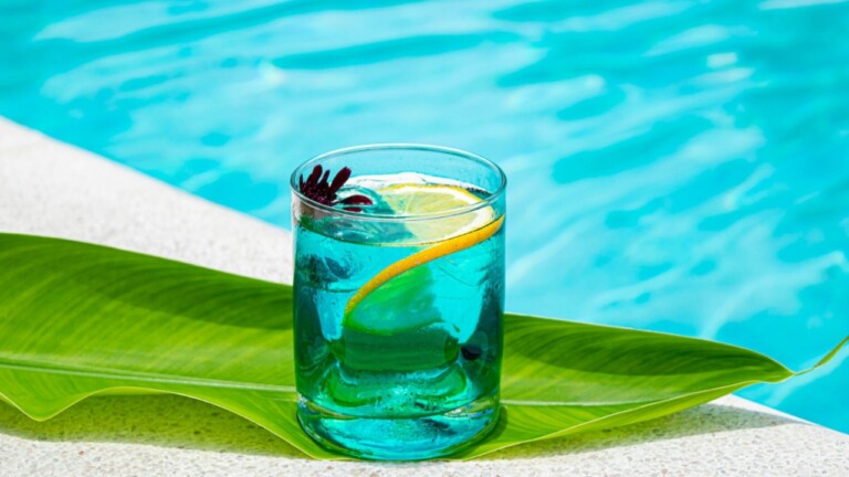 Signature cocktail at the Pool Bar, Lyra Hotel Plitvice